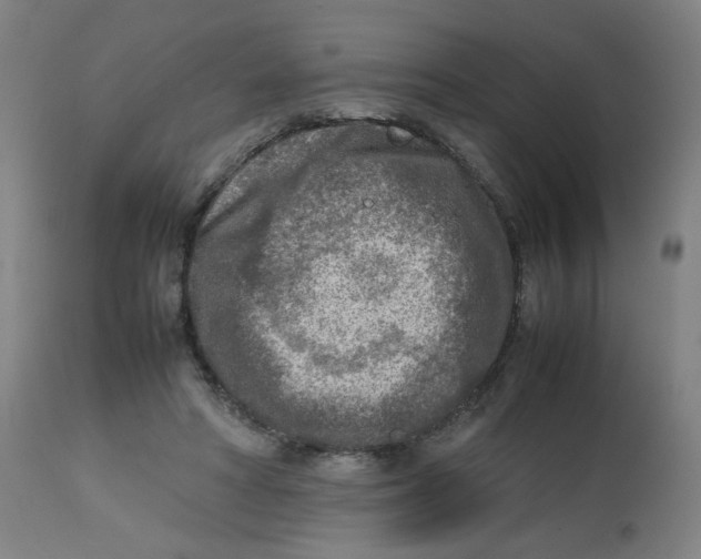 X0000112730402200909171132