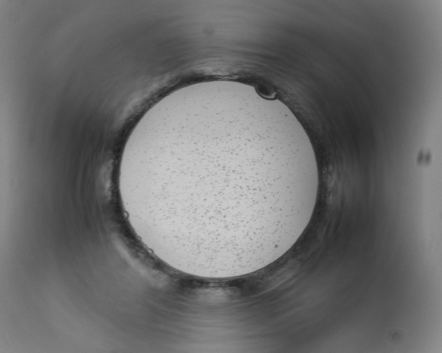 X0000112730404200909171132
