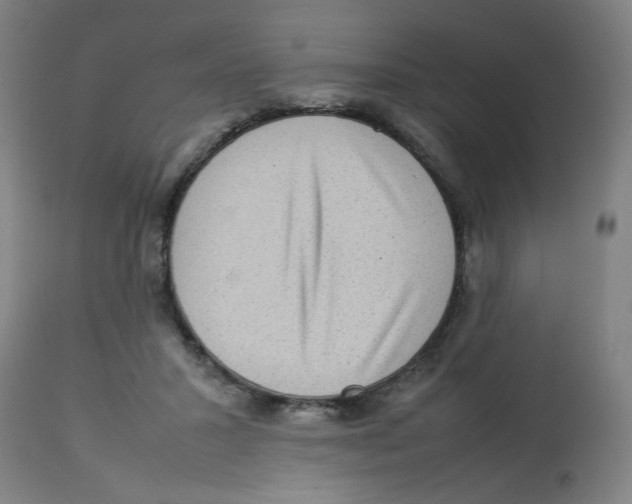 X0000112730407200909171132