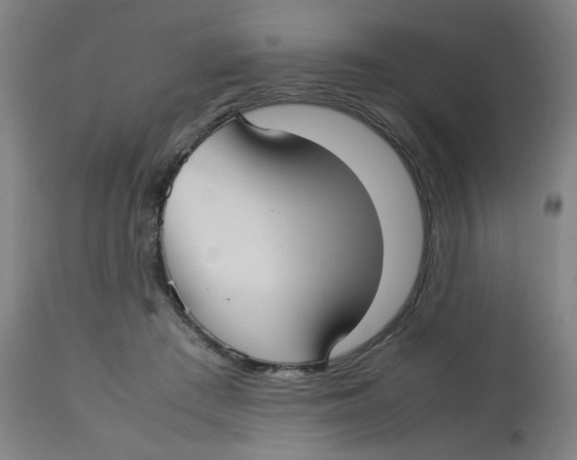 X0000112730409200909171132