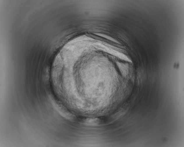 X0000112730410200909171132