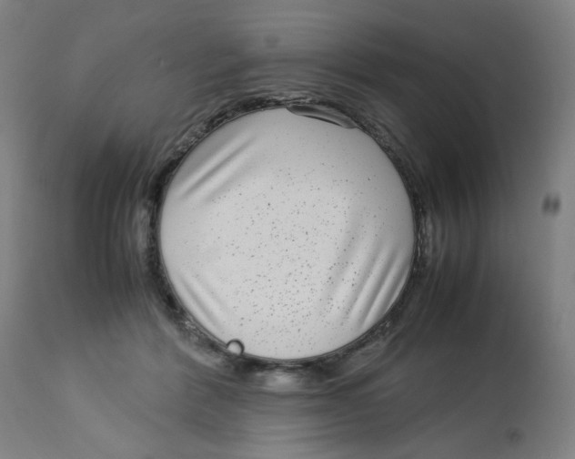 X0000112730412200909171132