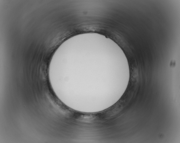 X0000112730414200909171132