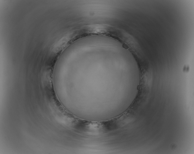 X0000112730415200909171132