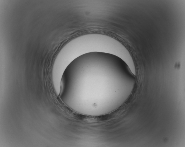 X0000112730417200909171132