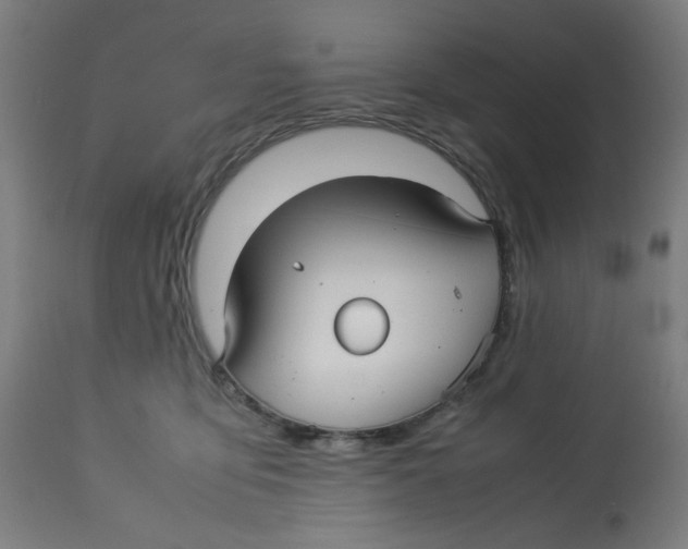 X0000112730419200909171132