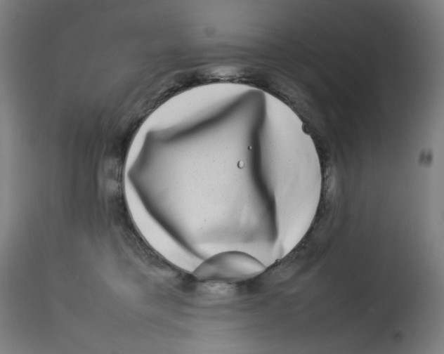 X0000112730421200909171132