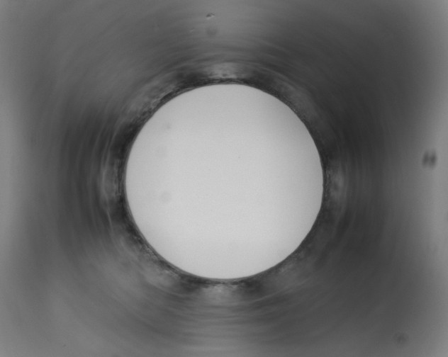 X0000112730422200909171132