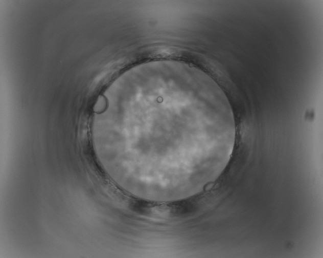 X0000112730423200909171132