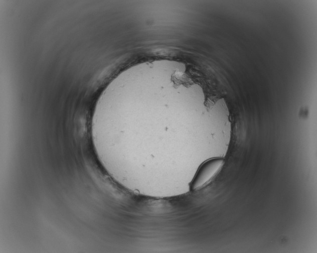 X0000112730424200909171132