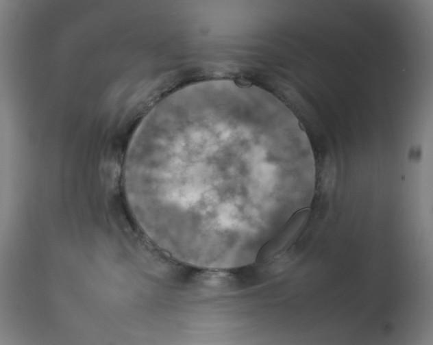 X0000112730427200909171132