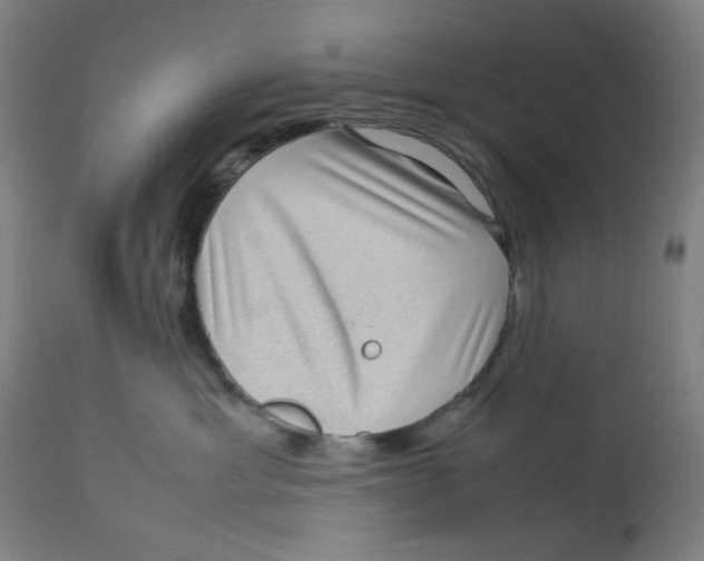 X0000112730429200909171132