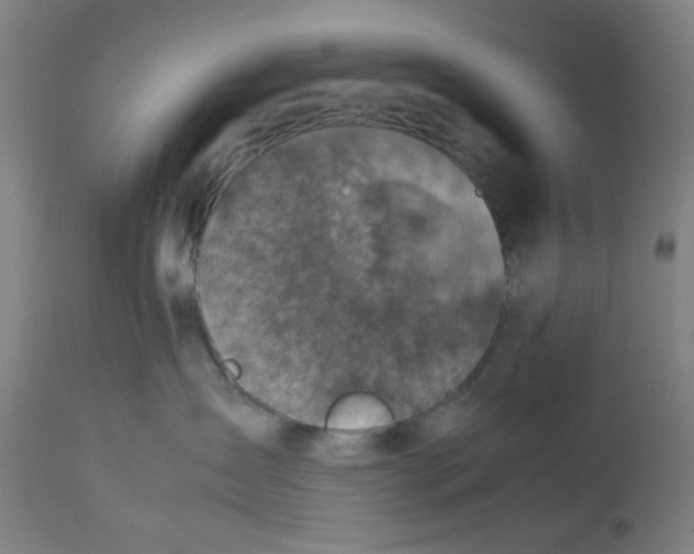 X0000112730431200909171132