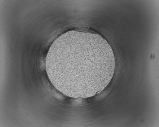 X0000112730432200909171132