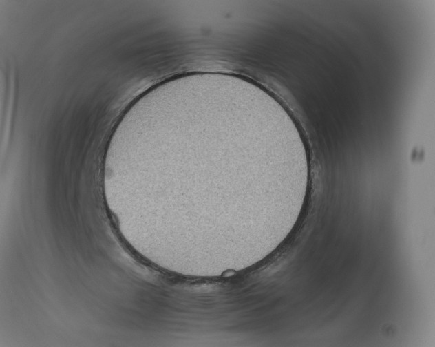 X0000112730433200909171131