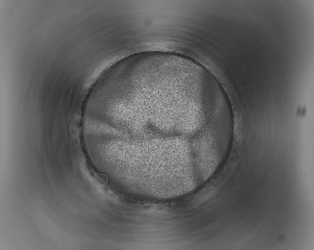 X0000112730434200909171131