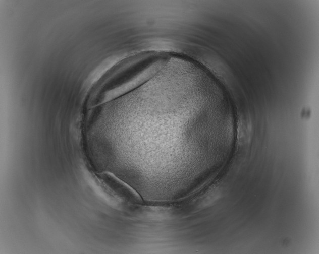 X0000112730436200909171131