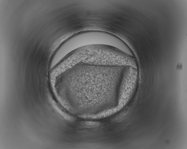 X0000112730437200909171131