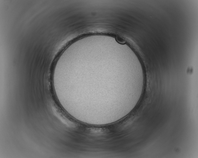 X0000112730439200909171131