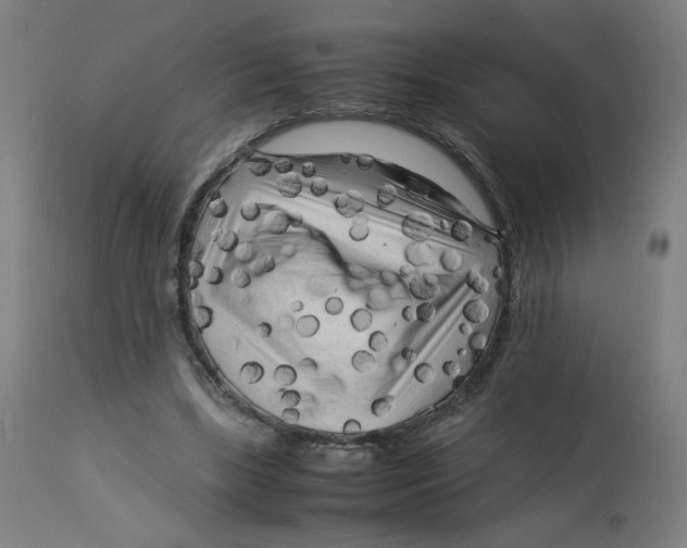 X0000112730443200909171131