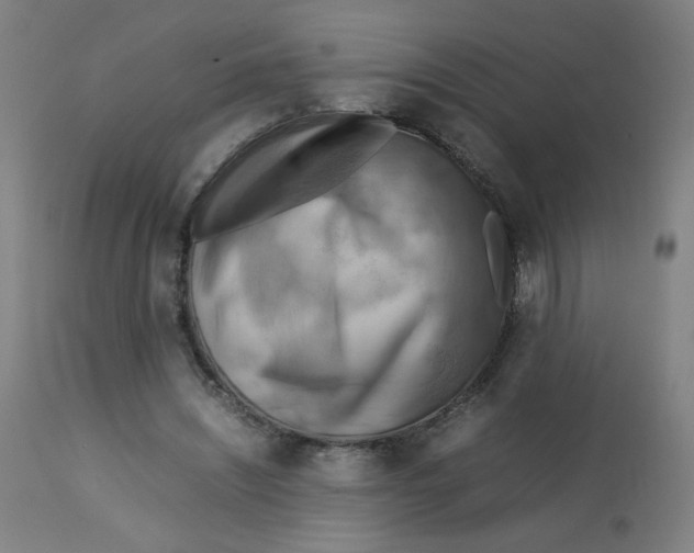 X0000112730444200909171131