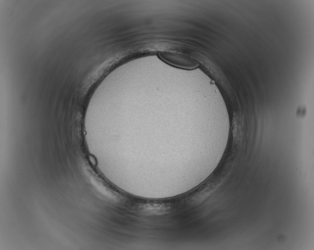 X0000112730445200909171131