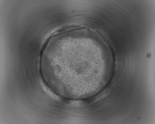 X0000112730446200909171131
