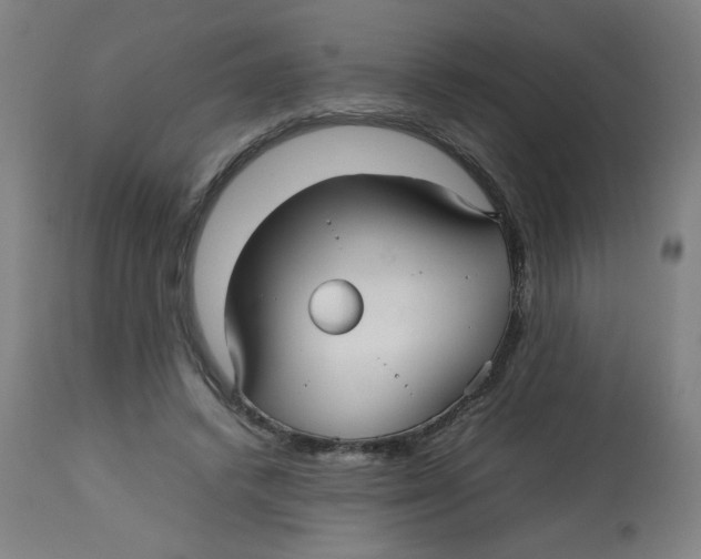 X0000112730448200909171131