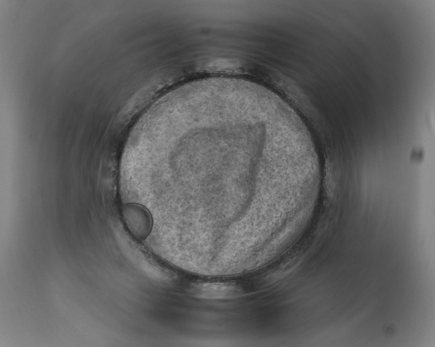 X0000112730449200909171131