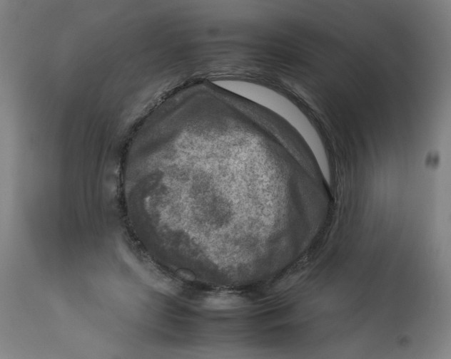 X0000112730451200909171131