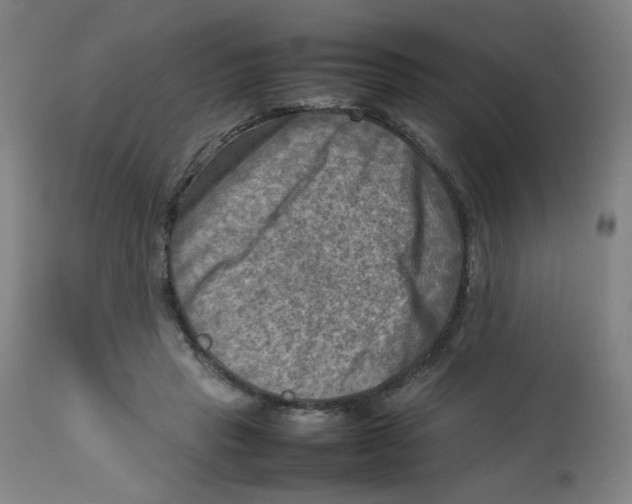 X0000112730453200909171131