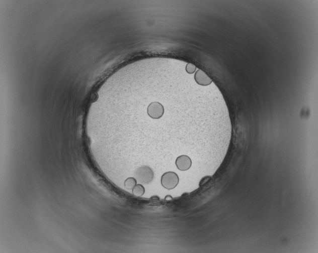 X0000112730454200909171131