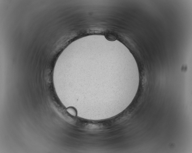 X0000112730455200909171131