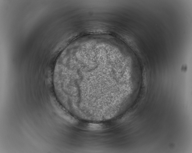 X0000112730457200909171131