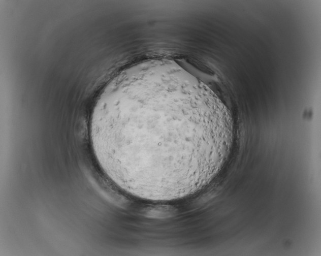 X0000112730459200909171131