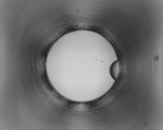 X0000112730460200909171131
