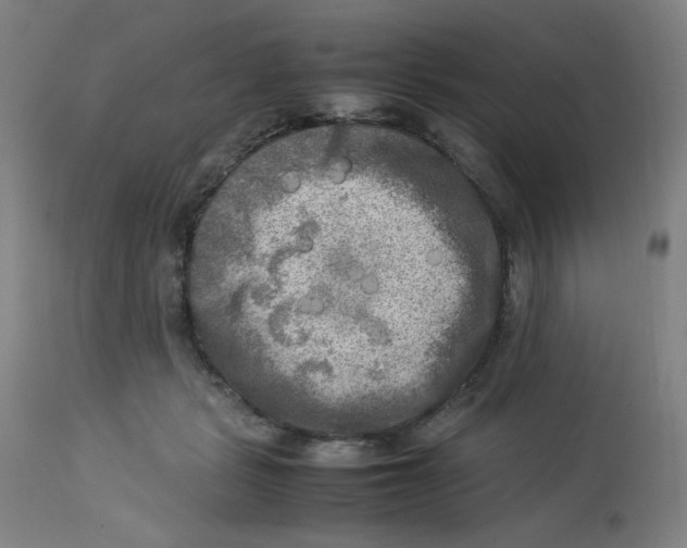 X0000112730461200909171131