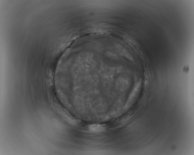 X0000112730465200909171131