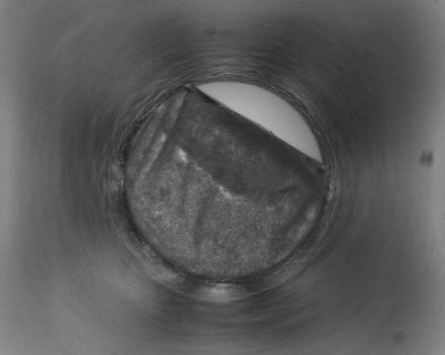 X0000112730467200909171131
