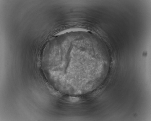 X0000112730469200909171131