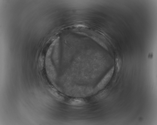 X0000112730475200909171131