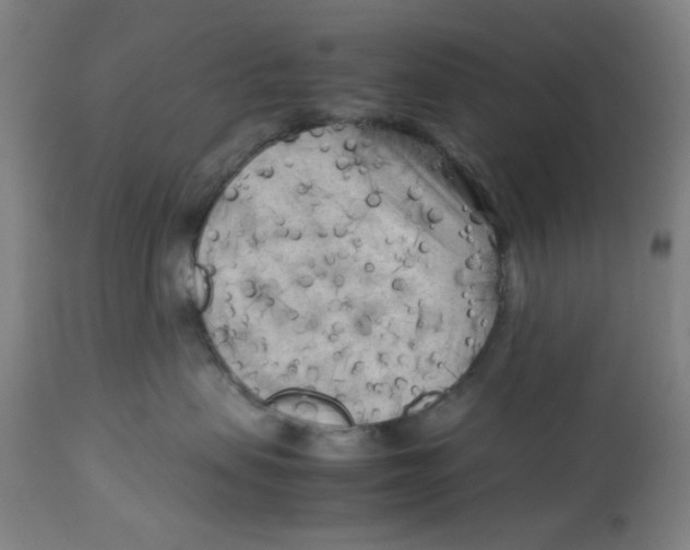 X0000112730479200909171132