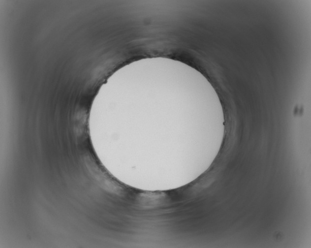 X0000112730480200909171132
