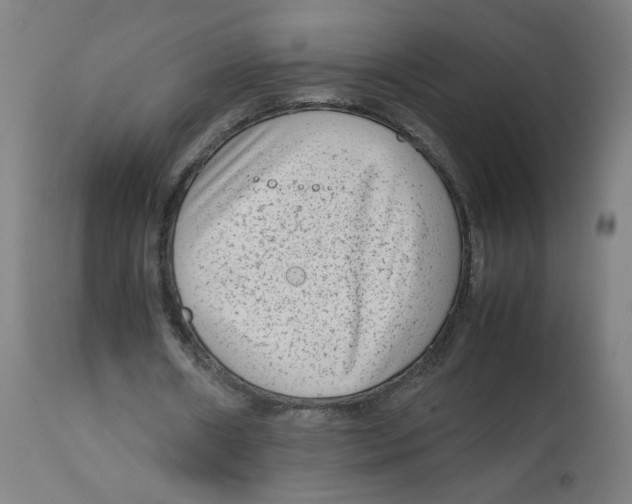 X0000112730482200909171131