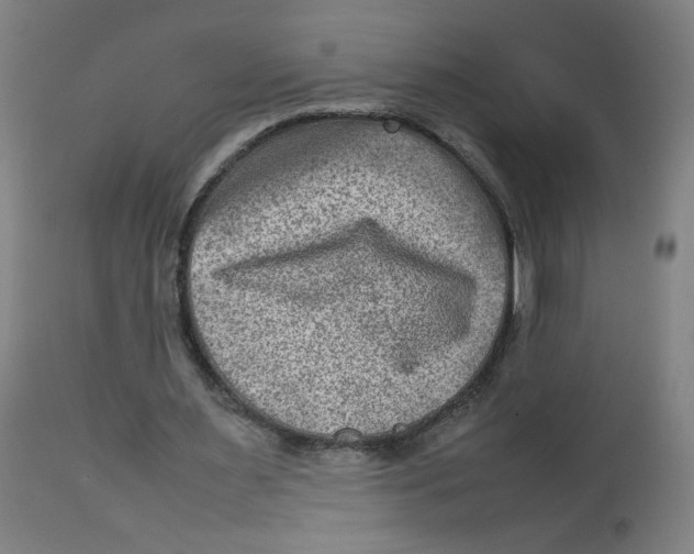 X0000112730483200909171131