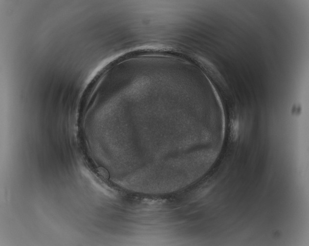 X0000112730484200909171131