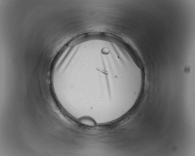 X0000112730485200909171131