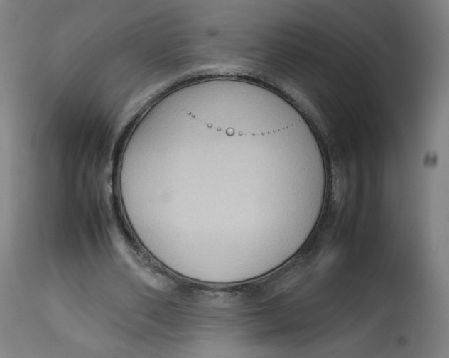 X0000112730486200909171131