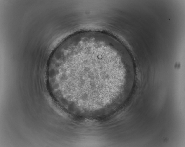 X0000112730487200909171131