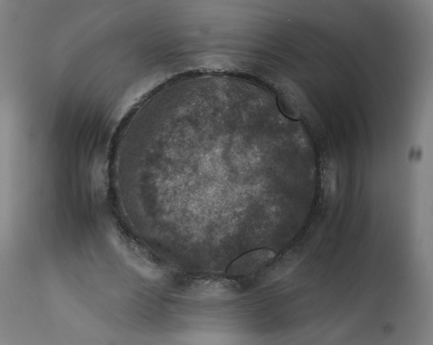 X0000112730488200909171131